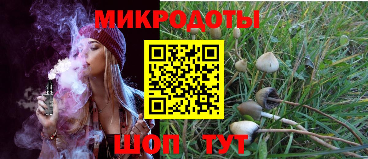 Галлюциногенные грибы мухоморы Приморско-Ахтарск