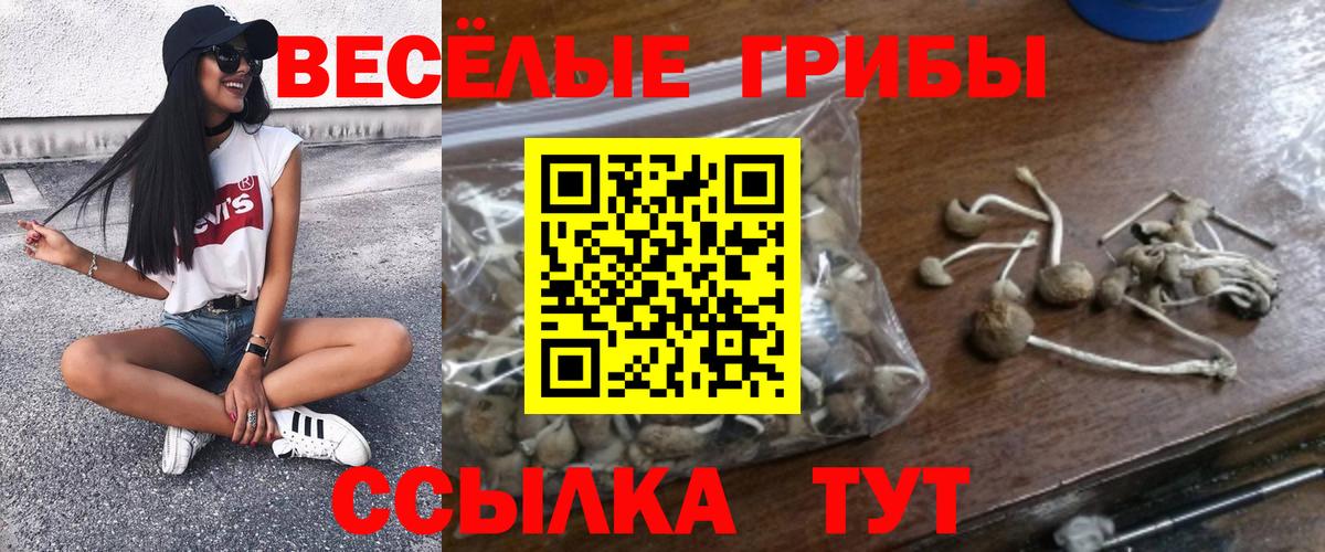 Приморско-Ахтарск  Псилоцибиновые грибы GOLDEN TEACHER  Псилоцибиновые грибы Cubensis  Вход с VPN 
